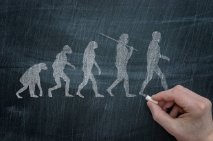 Исследование: предки современных людей могли полностью исчезнуть 900 тыс. лет назад