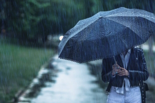 Как дождливая погода влияет на память и внимательность людей, определили ученые
