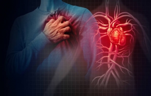 Найден способ снизить воспаление в сердце после инфаркта