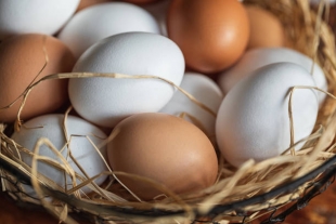 Ученые рассказали о пользе яиц для здоровья костей