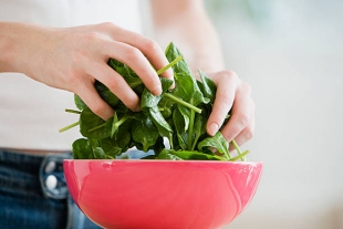 Содержащий большое количество витаминов шпинат способен замедлять процессы старения