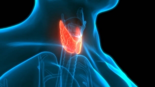 Ученые подтвердили безопасность микроволнового излучения для лечения рака щитовидной железы