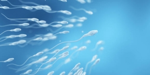 Пять здоровых привычек для улучшения качества сперматозоидов