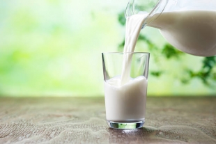 Изучены полезные свойства молока