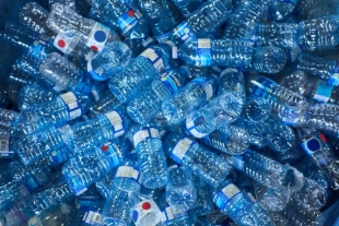 Ученые из Японии нашли способ получать биоразлагаемый пластик с помощью бактерий