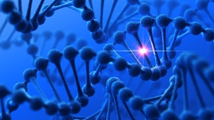 Ученые нашли общие генетические причины рака крови и подтипа артрита