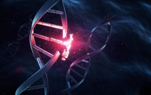 PNAS: ученые выявили мутацию, позволяющую людям высыпаться всего за три часа
