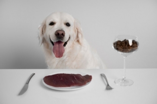 Сырое мясо или сухой корм: ветеринары рассказали о более полезной пище для собак