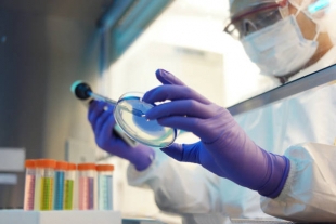 Microbiome: в Гренландии пробудился гигантский древний вирус