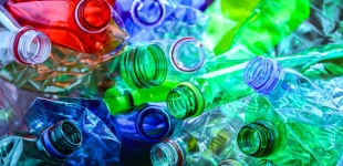 Исследование: фталаты могут быть связаны с сердечными болезнями