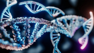 Ученые открыли новую мутацию в гене NUDCD3, связанную с развитием синдрома Оменна