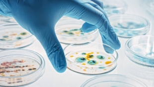 Ученые нашли способ остановить рост устойчивости бактерий к антибиотикам