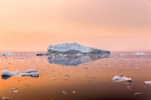 Microbiome: в Гренландии обнаружили гигантские вирусы, ускоряющие таяние льдов