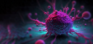 Ученые из США нашли клетки, борьба с которыми снизит риск рецидива рака