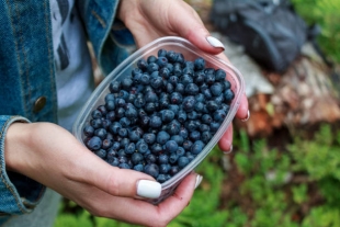 Богатая флавоноидами пища снижает риск смерти на 16 %
