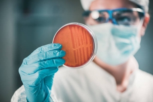 ИИ помог выявить около миллиона потенциальных источников антибиотиков