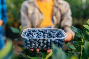 Названы продукты питания, способные замедлить процессы старения