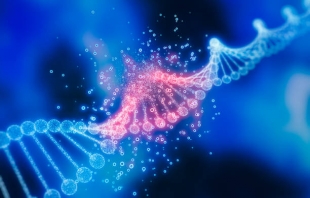 PNAS Nexus: ученые предлагают бороться с глаукомой с помощью генной терапии