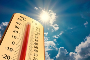 Эксперты обеспокоены ростом смертности от жары в 2024 году