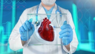 EHJ: 28 % пациентов старше 60 лет бессимптомно страдают от болезней сердечного клапана
