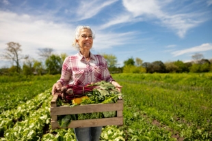 Садоводство может защитить пожилых людей от серьезных когнитивных нарушений