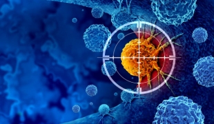 ACS Nano: наночастицы из желатина сделают лечение рака легких более эффективным