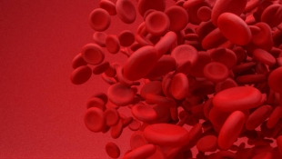 Ученые предлагают прогнозировать риск развития 67 болезней по белкам крови