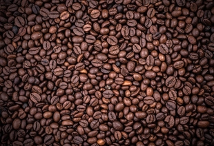 В кофе нашли соединение, улучшающее когнитивные способности грызунов