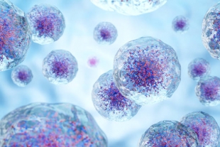 Ученые нашли способ подавить рост раковых клеток при лейкозе