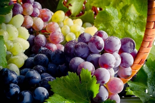 Виноград может помочь в решении проблем со зрением