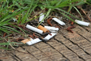 Сигаретным окуркам нашли новое применение