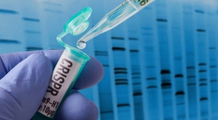 В США одобрили препарат, основанный на системе CRISPR
