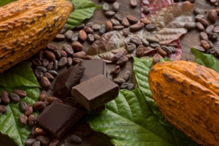Экстракт какао способен улучшить когнитивные способности людей с «плохими» пищевыми привычками